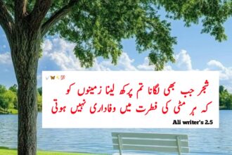 Bewafai Quotes in Urdu,