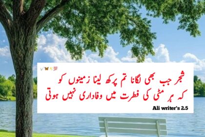 Bewafai Quotes in Urdu,