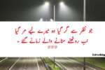 Best Attitude Quotes in Urdu