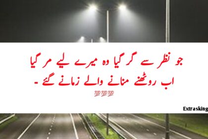 Best Attitude Quotes in Urdu